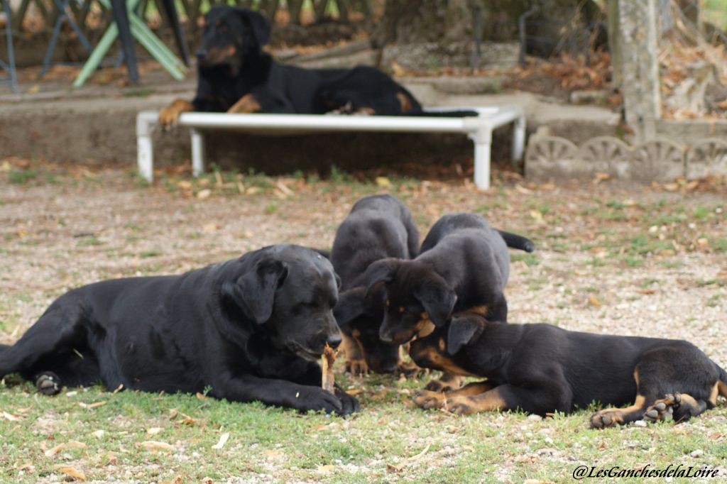 Nouvelles photos