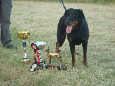 des Ganches de la Loire - Beaucerons
