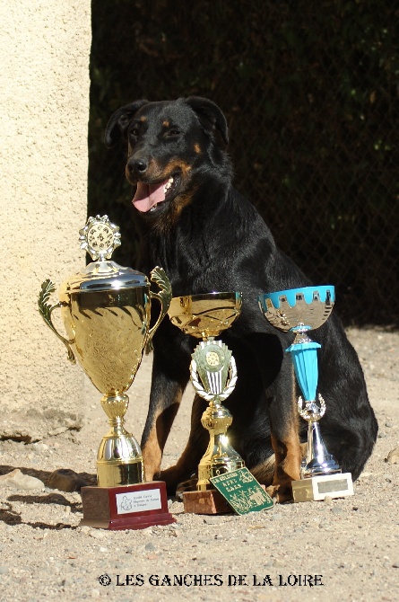 des Ganches de la Loire - résultat d'exposition