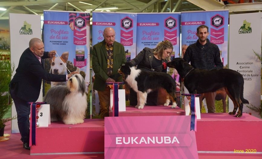 Résultats d'exposition