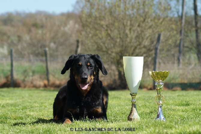 des Ganches de la Loire - Résultat