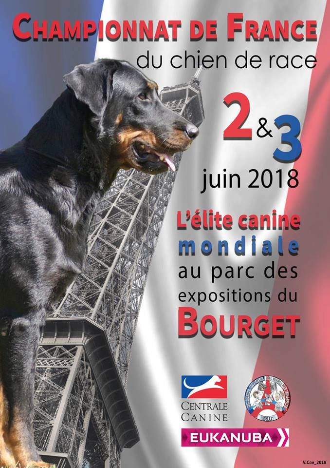 des Ganches de la Loire - CHCS Jeep des Ganches de la Loire